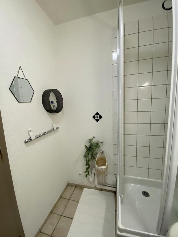 Apartament Suzanne Strasburg Zewnętrze zdjęcie